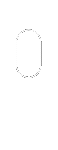 animation du scroll